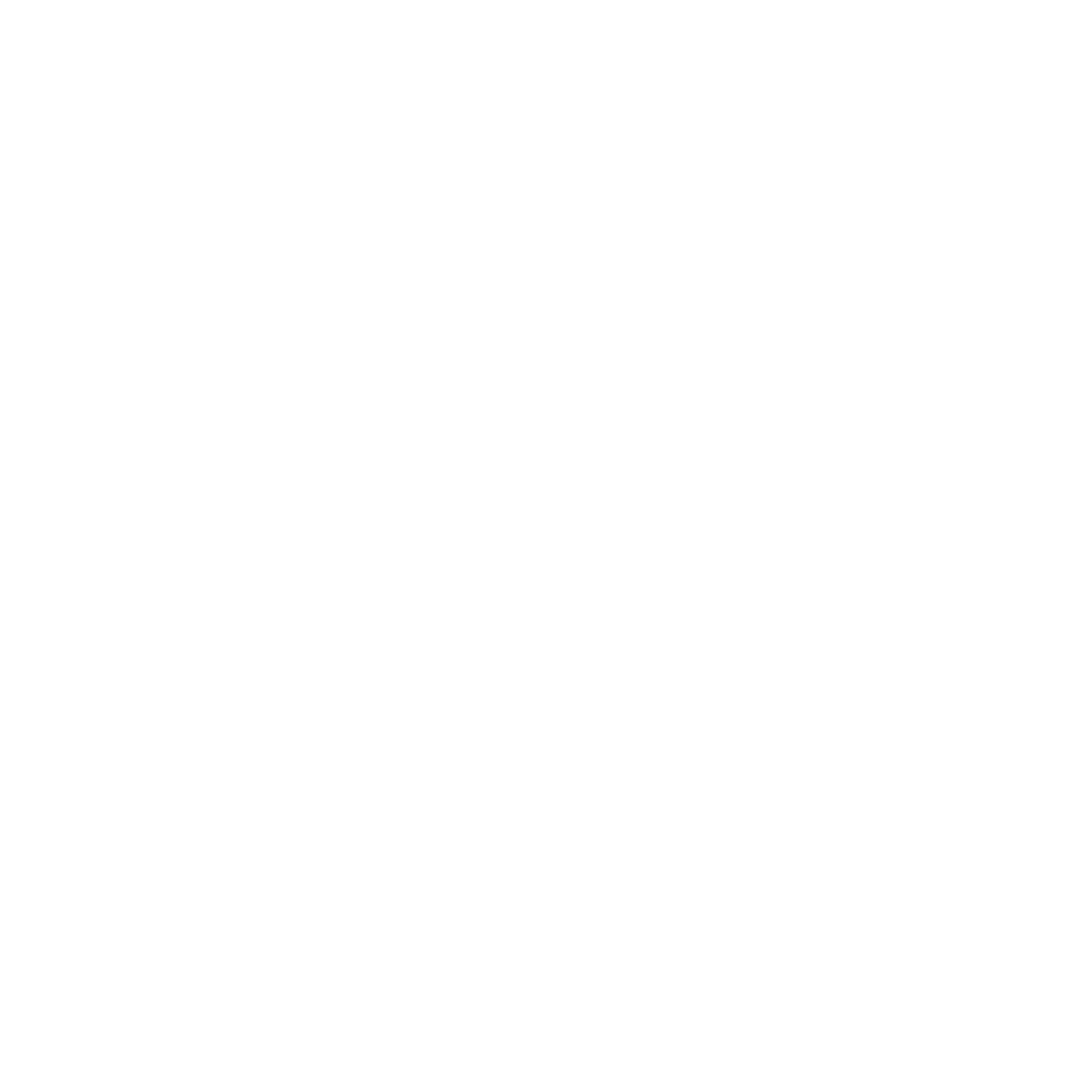 Evisu