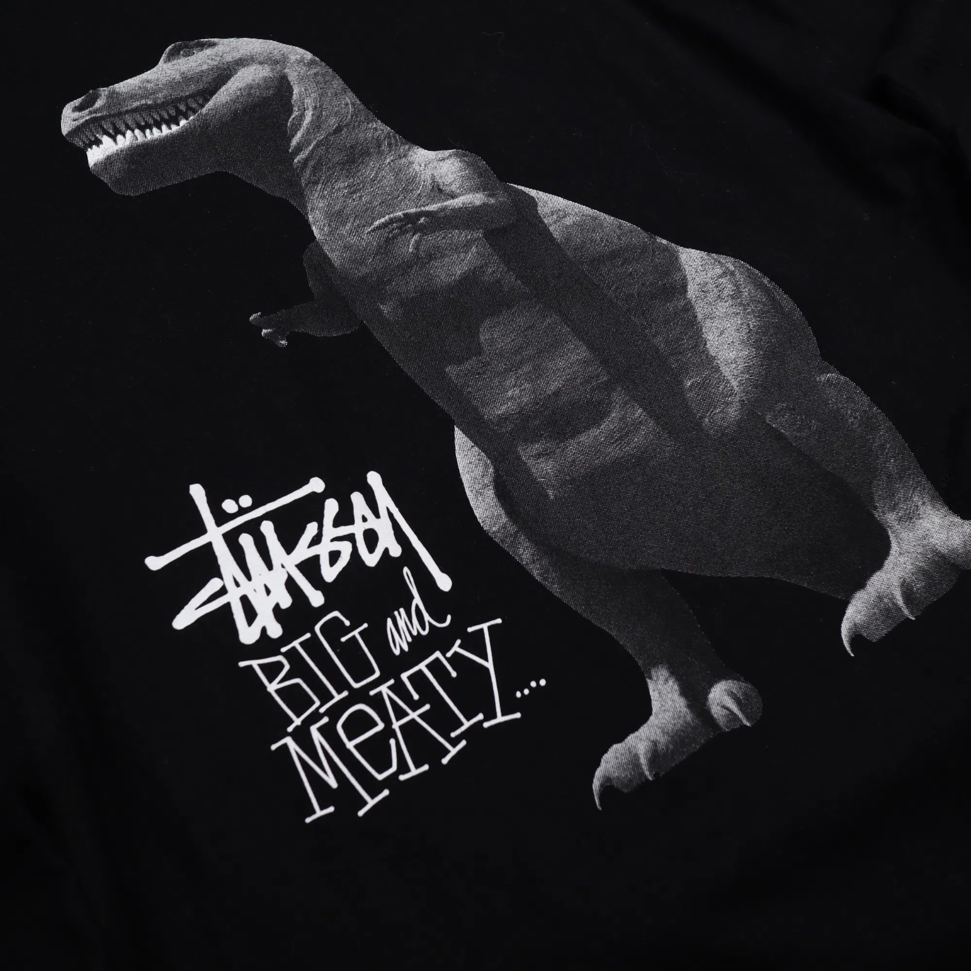 Stüssy “Big & Meaty” Dinosaur Longsleeve Black L
